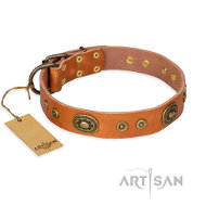 ‘Dandy Pet’ スタイルのFDT Artisanのデザイナー首輪 ‘Dandy Pet’ スタイルのFDT Artisanのデザイナー首輪