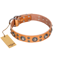 ‘Extra Sparkle’ FDT Artisan装飾付 40mm本革製 犬用首輪 ‘Extra Sparkle’ FDT Artisan装飾付 40mm本革製 犬用首輪