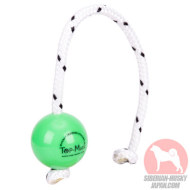 若犬や小型犬のおもちゃボール 緑 柔らかい 噛みやすい 若犬や小型犬のおもちゃボール 緑 柔らかい 噛みやすい