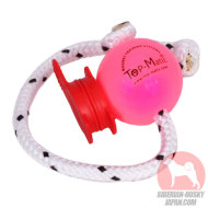 ハスキー子犬・小型犬用おもちゃセット　ピンクのボールと赤い磁石クリップ