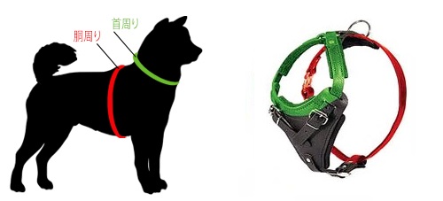 炎の手塗りデザインのおしゃれな犬用革ハーネス Fordogtrainersのブランドハーネス 516