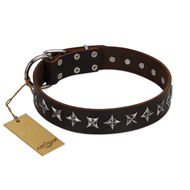 犬　誕生　日　プレゼント用のFDT Artisanの犬 革 首輪　星形スタッズ付き　茶色