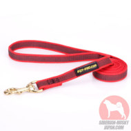 赤い犬用リード　安全　ナイロン製　180cm