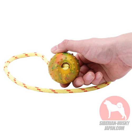 犬訓練用おもちゃボール - ウインドウを閉じる