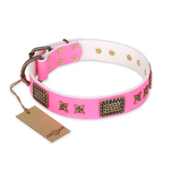 FDT Artisanの犬誕生日プレゼント用のピンク革首輪 青銅メッキプレートとスタッズ付き FDT Artisanの犬誕生日プレゼント用のピンク革首輪 青銅メッキプレートとスタッズ付き