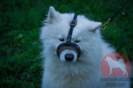 大型犬用マズルガード　本革製　大型犬　トレーニングに最適！