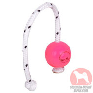 小型犬や子犬用おもちゃ　柔らかいボール　ピンク色　噛みやすい子犬トイ