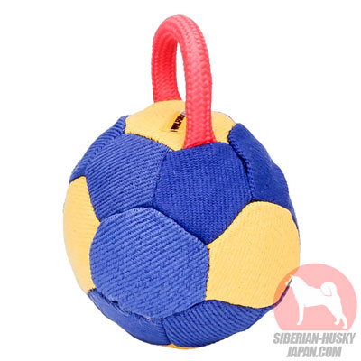犬　おもちゃ　サッカーボール