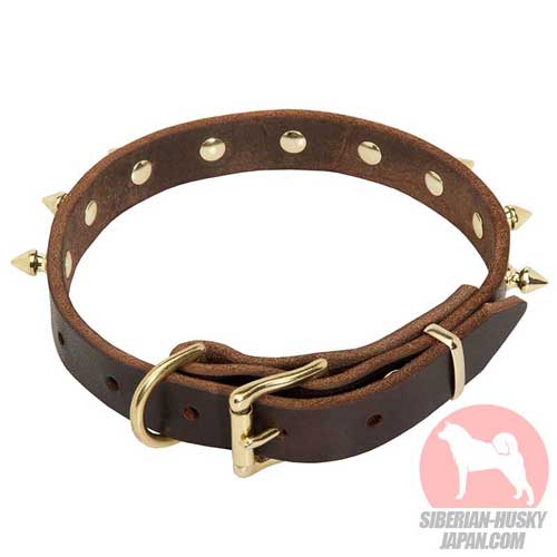 上質な犬用首輪の真鍮製の金具
