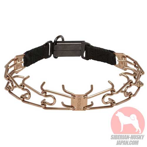 犬の散歩用金属製の首輪