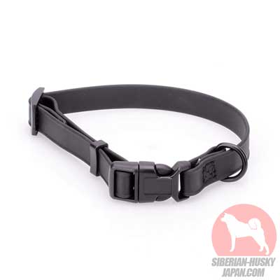 シベリアンハスキー　犬用品　販売