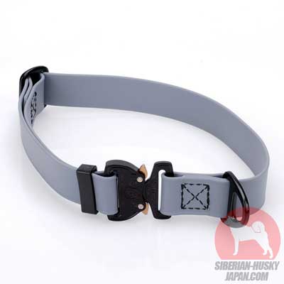 シベリアンハスキー　犬用品