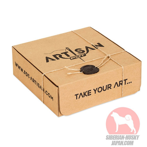 FDT Artisan犬用首輪 ギフトボックス