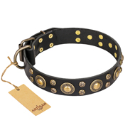 ‘Baroque Chic’ FDT Artisan スタッズ付 40mm本革製 犬用首輪 ‘Baroque Chic’ FDT Artisan スタッズ付 40mm本革製 犬用首輪