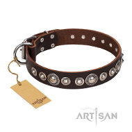 ‘Step and Sparkle’スタイルのFDTArtisanデザインのデコ革首輪 ‘Step and Sparkle’スタイルのFDTArtisanデザインのデコ革首輪