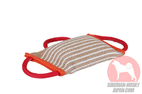 犬 おもちゃ 丈夫