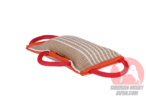 犬 噛むおもちゃ 安全