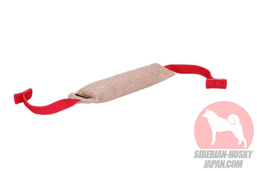 犬 おもちゃ 壊れない