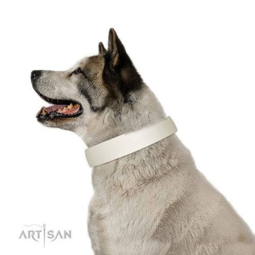 FDT Artisan　秋田犬