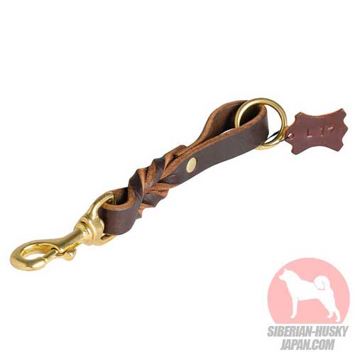 犬用の革のリーシュ（プリタブタイプ）