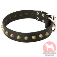 中~大型犬用ファッショナブルな本革製の首輪 中~大型犬用ファッショナブルな本革製の首輪