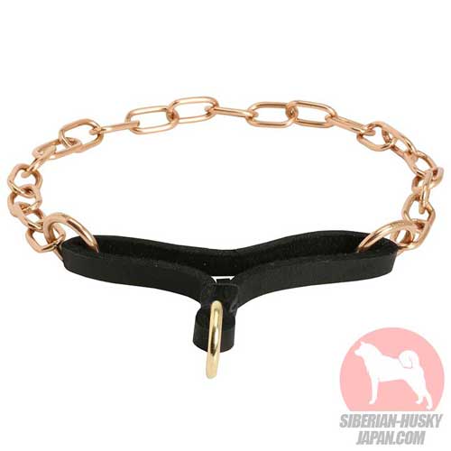 丈夫で安全なクロガンのチョークカラー