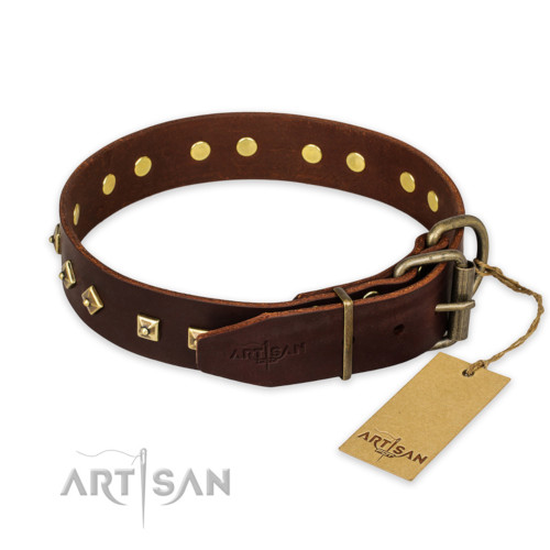 FDT Artisanの犬迷子札付きの大型犬　散歩用デザインカラー！