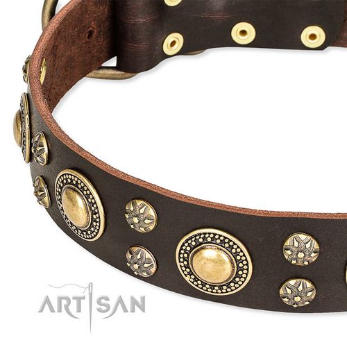 FDT Artisan 犬用の首輪
