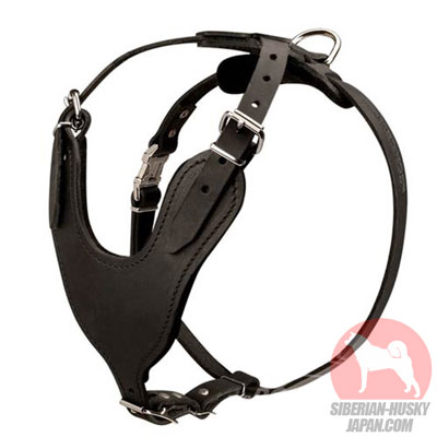 シベリアンハスキー　犬用品　販売