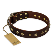 FDT Artisanのデザインの「Fashion Studs」犬用革製首輪 ブラウン スタッズ付き FDT Artisanのデザインの「Fashion Studs」犬用革製首輪 ブラウン スタッズ付き