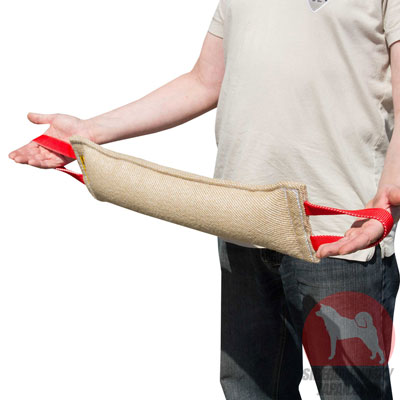 犬　噛む　おもちゃ　安全