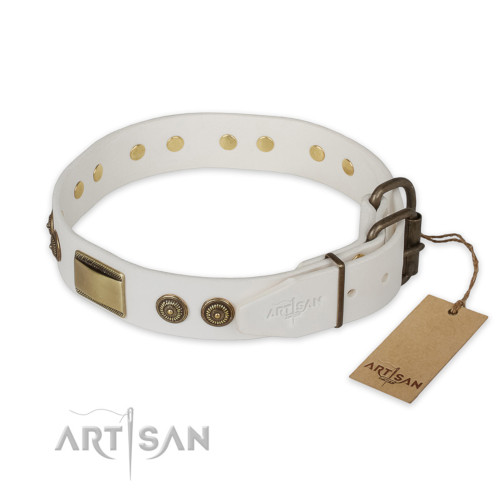 シベリアンハスキー　犬用品