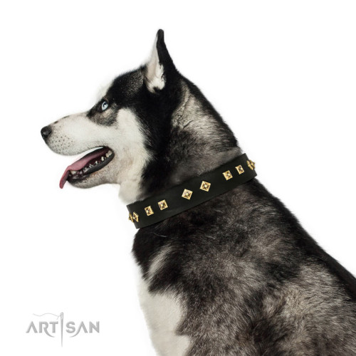 ハスキー　犬用品