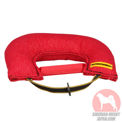 犬　訓練用品