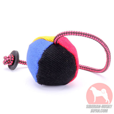 子犬　おもちゃ　ボール