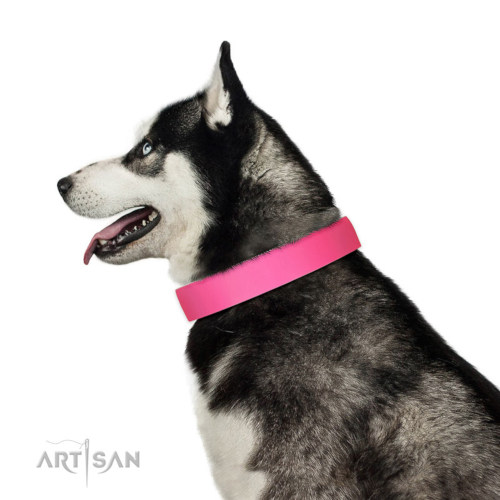 シベリアンハスキー 犬　用品