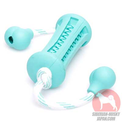犬　歯石　歯茎　ケア