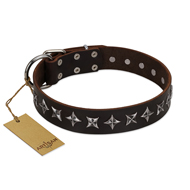 犬 誕生 日 プレゼント用のFDT Artisanの犬 革 首輪 星形スタッズ付き 茶色 犬 誕生 日 プレゼント用のFDT Artisanの犬 革 首輪 星形スタッズ付き 茶色