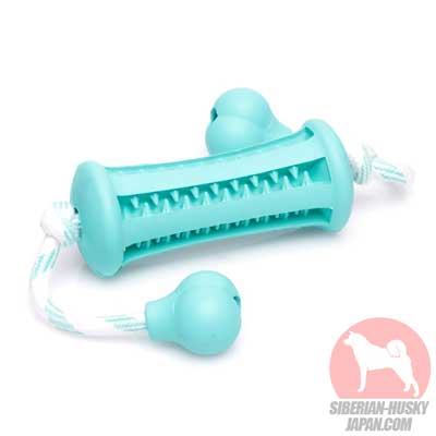 犬　おもちゃ　噛む　丈夫