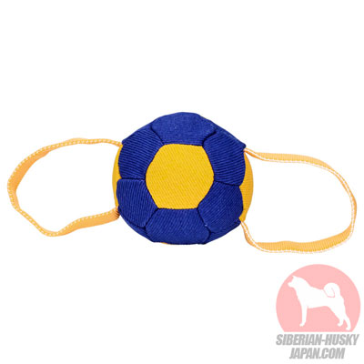 犬　サッカーボール
