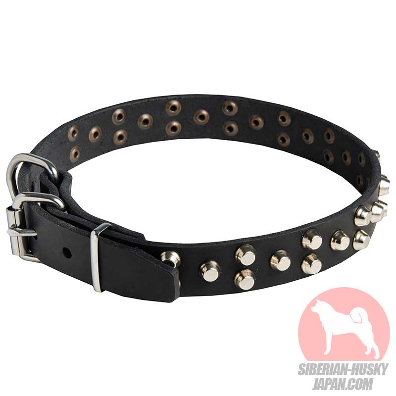 犬用首輪 おしゃれ！○○ハスキーの散歩首輪 - ¥6,256