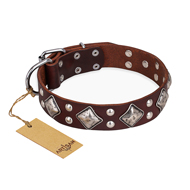 FDT Artisanのデザイン’King of Grace’犬用革首輪 ブラウン シルバー色の装飾付き FDT Artisanのデザイン’King of Grace’犬用革首輪 ブラウン シルバー色の装飾付き