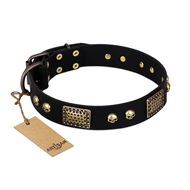 FDT Artisanの革 製 犬 用 首輪 手作り 黒色 海賊風のスタッズとプレート付き FDT Artisanの革 製 犬 用 首輪 手作り 黒色 海賊風のスタッズとプレート付き