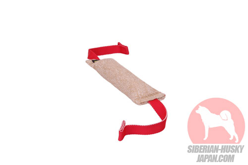 犬 おもちゃ 噛む 丈夫