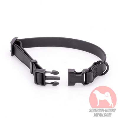 シベリアンハスキー　犬用品　販売