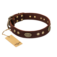 FDT Artisanの犬 グッズ 茶色レザー製犬 用 首輪 赤金製プレートとスタッズ付き FDT Artisanの犬 グッズ 茶色レザー製犬 用 首輪 赤金製プレートとスタッズ付き