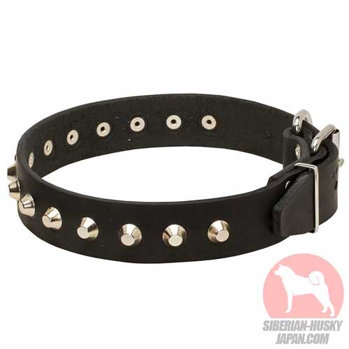 本革製スタッズ付　犬用首輪　渋い首輪　47本セット 本革製スタッズ付 犬用首輪 渋い首輪 47本セット