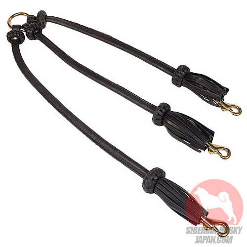 3頭引き用リード