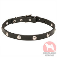 幅の狭い犬用革首輪(スタッズ) 幅の狭い犬用革首輪(スタッズ)