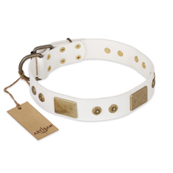 FDT Artisanの犬 革 首輪 ホワイト スタッズとプレート付き FDT Artisanの犬 革 首輪 ホワイト スタッズとプレート付き